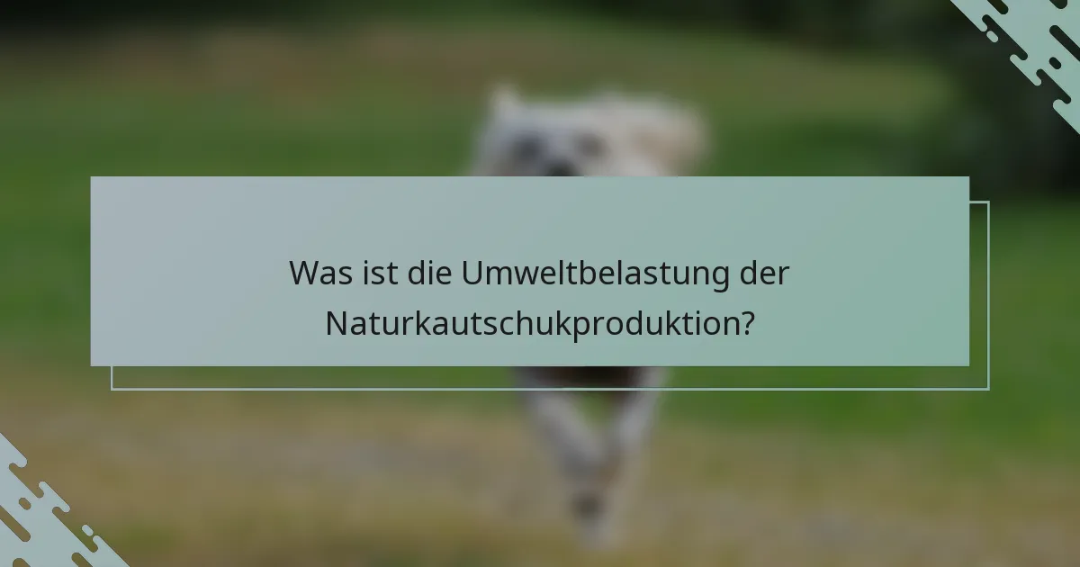 Was ist die Umweltbelastung der Naturkautschukproduktion?
