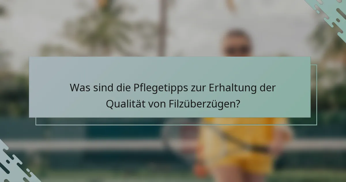 Was sind die Pflegetipps zur Erhaltung der Qualität von Filzüberzügen?