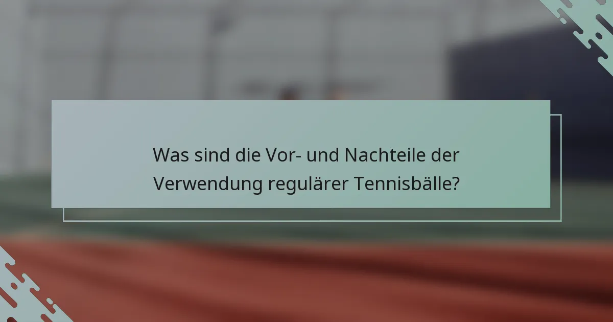 Was sind die Vor- und Nachteile der Verwendung regulärer Tennisbälle?