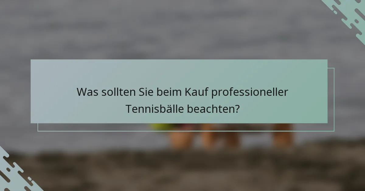 Was sollten Sie beim Kauf professioneller Tennisbälle beachten?