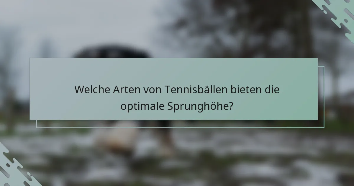 Welche Arten von Tennisbällen bieten die optimale Sprunghöhe?