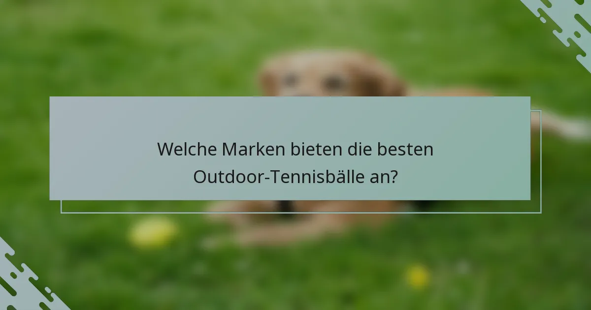 Welche Marken bieten die besten Outdoor-Tennisbälle an?