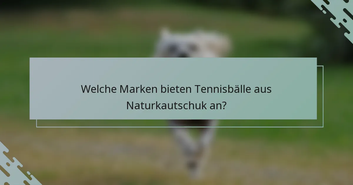 Welche Marken bieten Tennisbälle aus Naturkautschuk an?