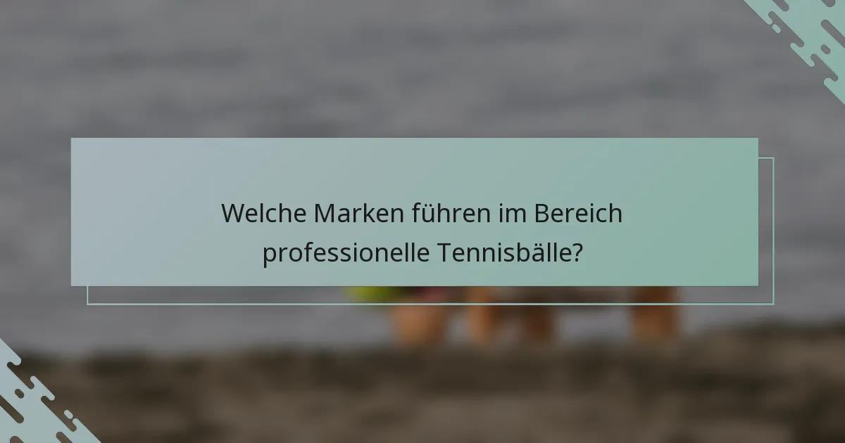 Welche Marken führen im Bereich professionelle Tennisbälle?