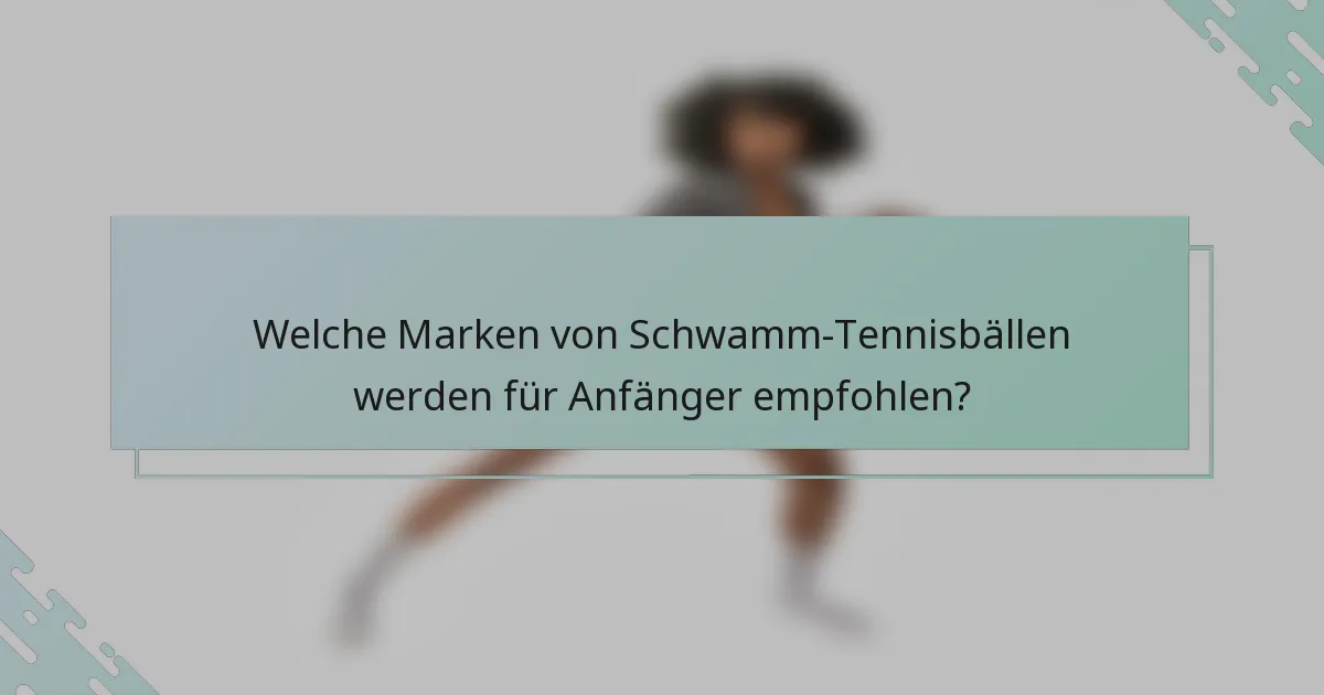 Welche Marken von Schwamm-Tennisbällen werden für Anfänger empfohlen?