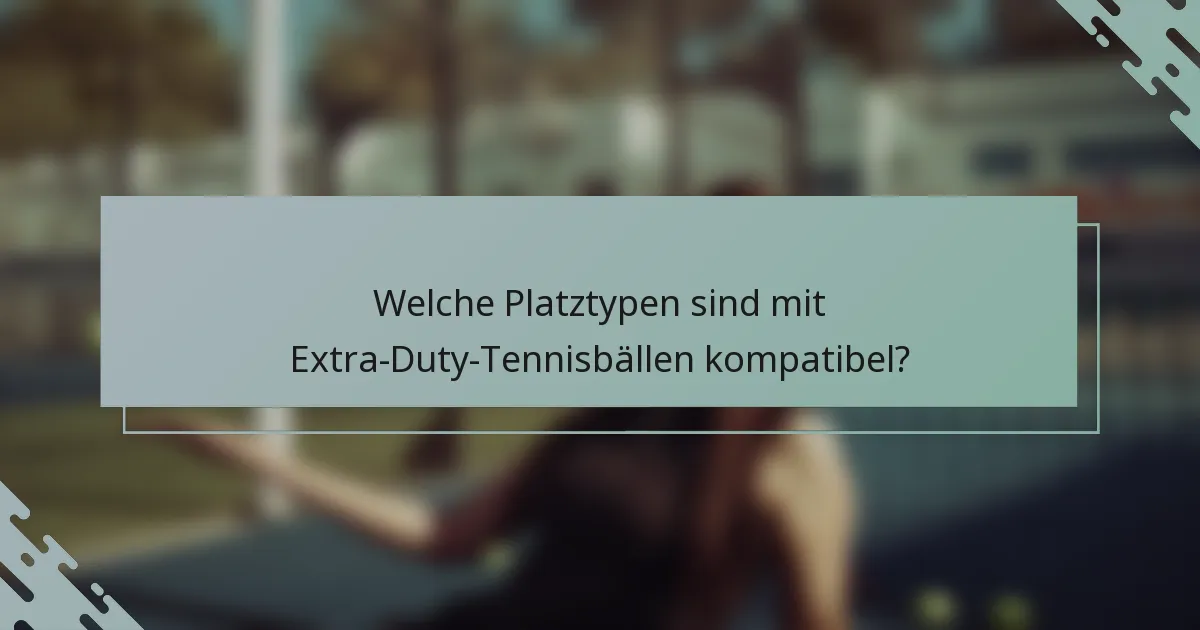 Welche Platztypen sind mit Extra-Duty-Tennisbällen kompatibel?