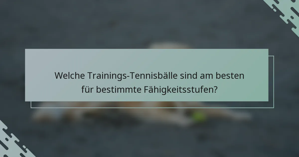 Welche Trainings-Tennisbälle sind am besten für bestimmte Fähigkeitsstufen?