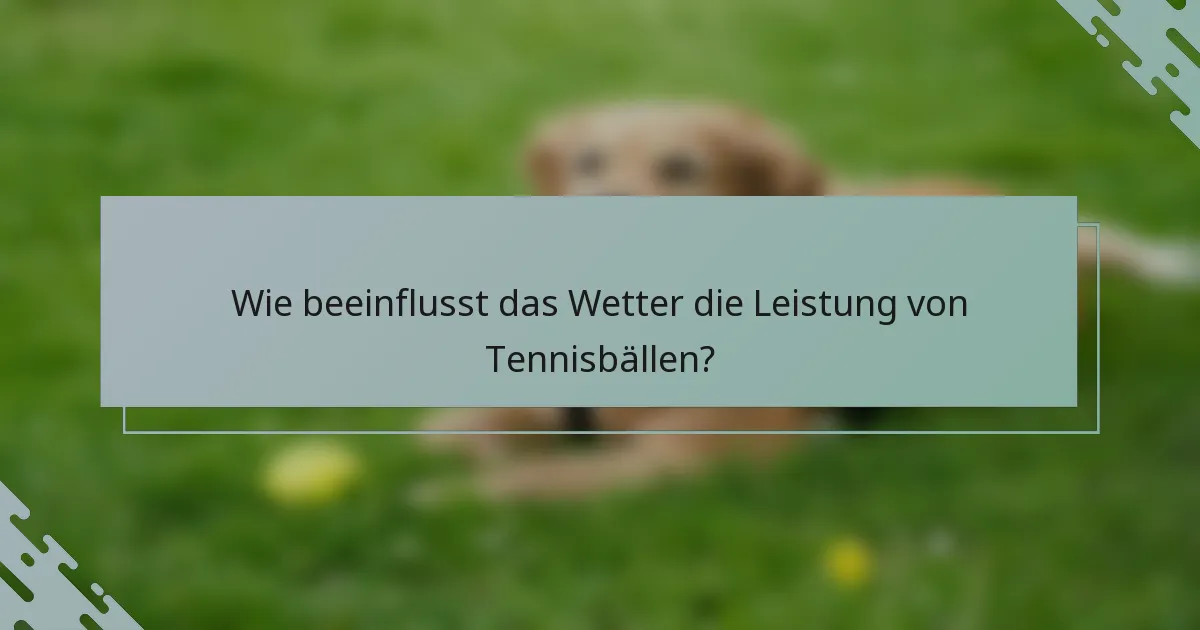 Wie beeinflusst das Wetter die Leistung von Tennisbällen?