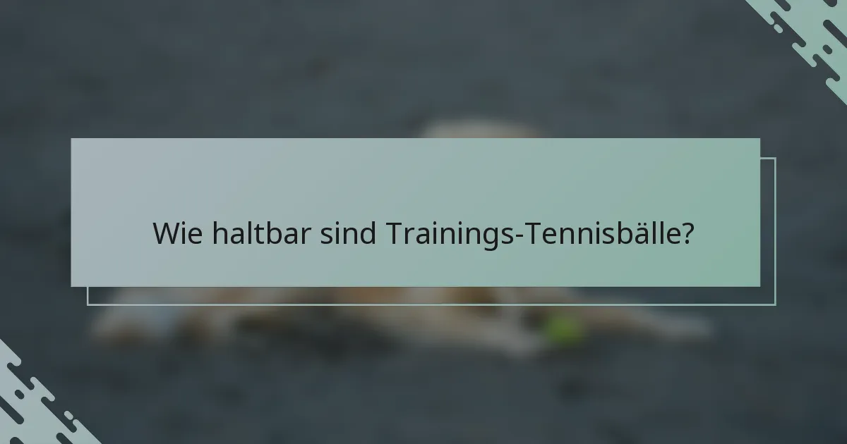 Wie haltbar sind Trainings-Tennisbälle?