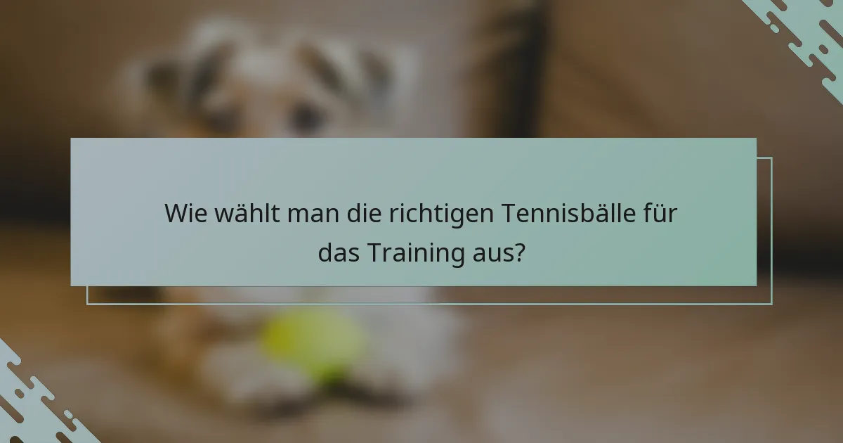 Wie wählt man die richtigen Tennisbälle für das Training aus?
